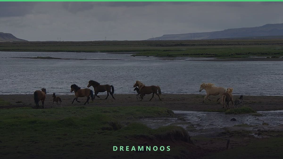 Symbolic illustration for Chased by Wolf Dream Meaning & Interpretation