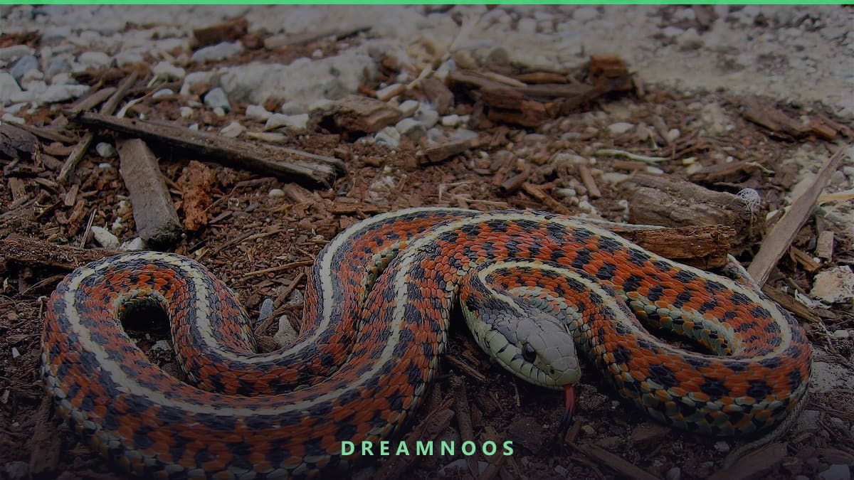 Symbolic illustration for Dead Snake Dream Meaning & Interpretation