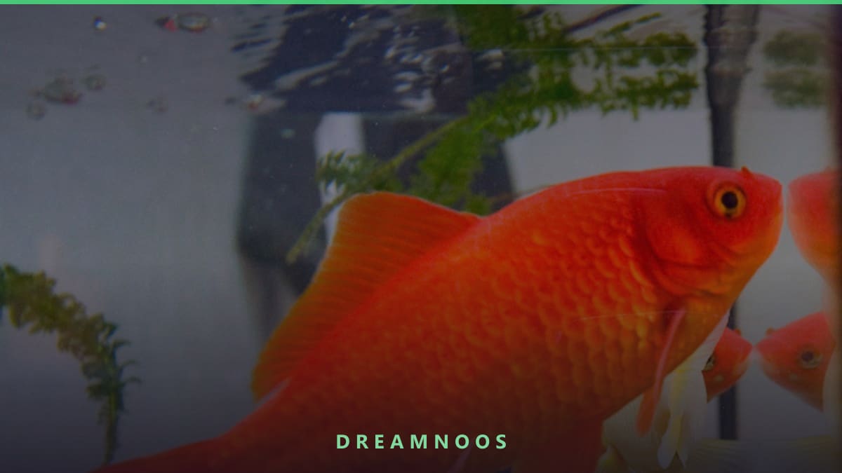 Symbolic illustration for Fish Dream Meaning & Interpretation