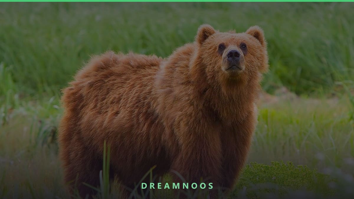 Symbolic illustration for Cub Dream Meaning & Interpretation