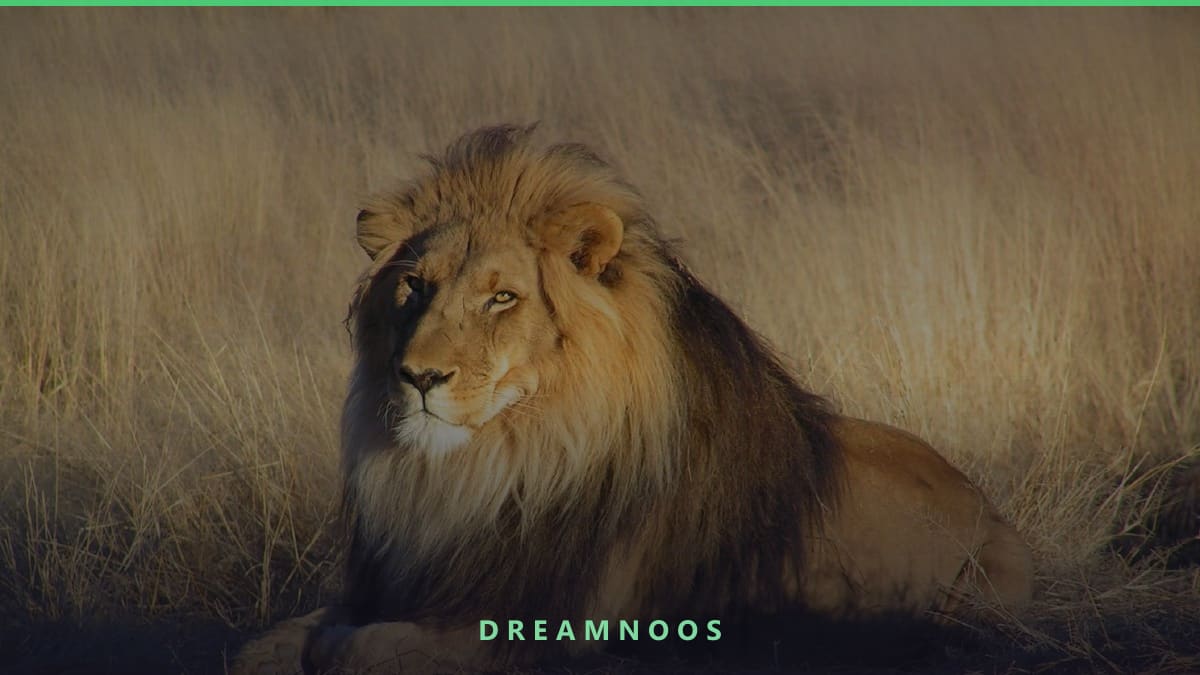 Symbolic illustration for Lion Dream Meaning & Interpretation