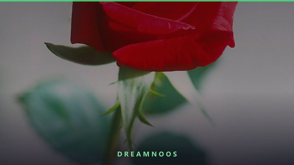 Symbolic illustration for Snake Bite Dream Meaning & Interpretation