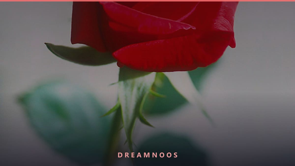 Symbolic illustration for Blood Dream Meaning & Interpretation