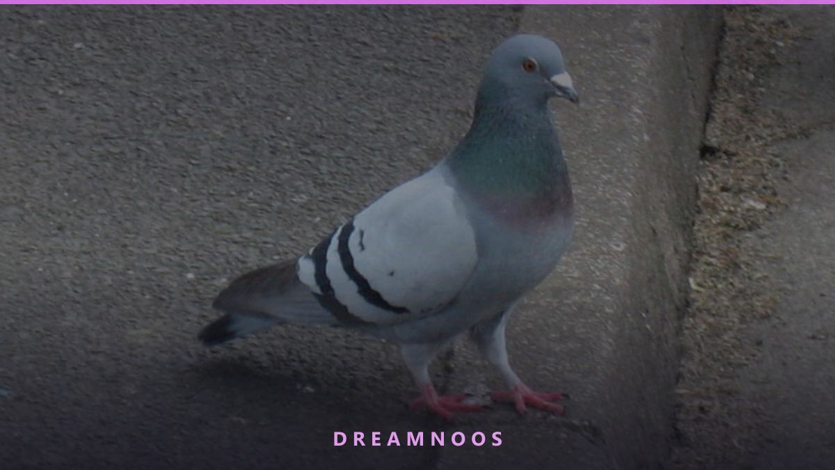 Symbolic illustration for Flying Dream Meaning & Interpretation