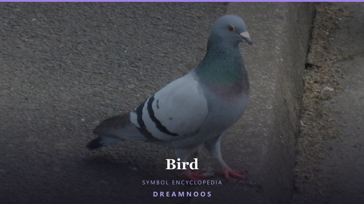 Symbolic illustration for Bird