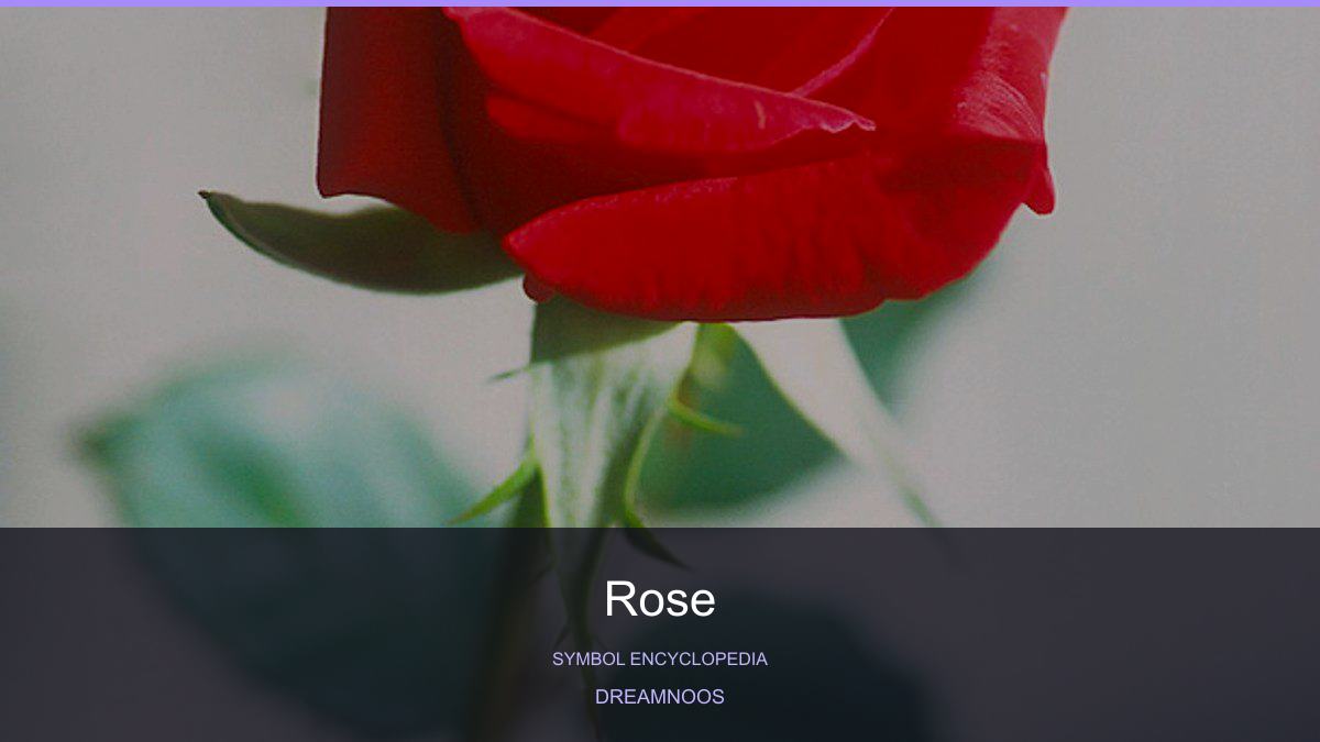 Symbolic illustration for Rose