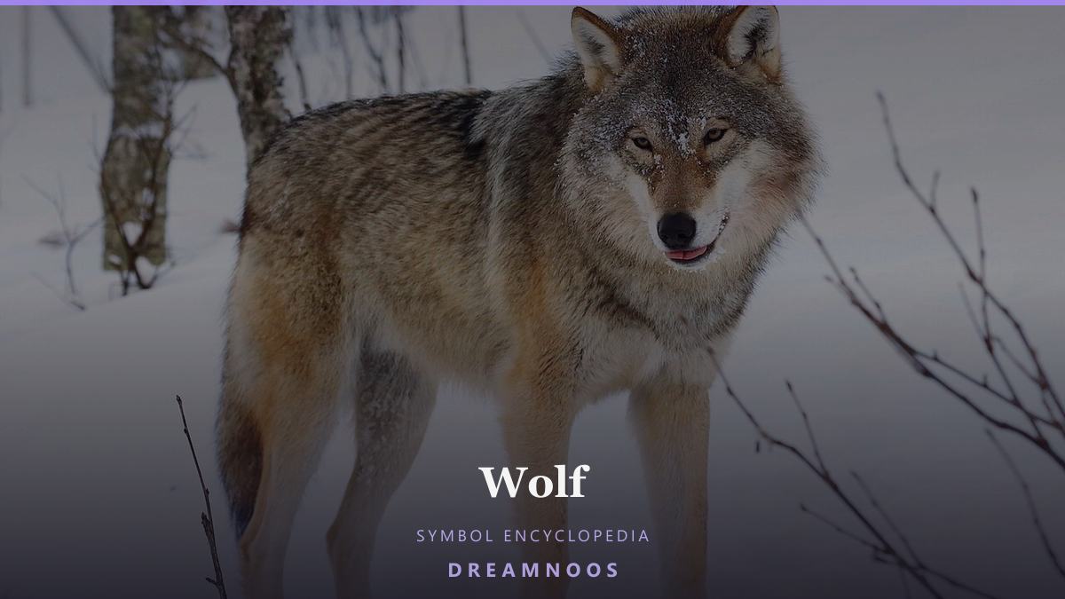 Symbolic illustration for Wolf